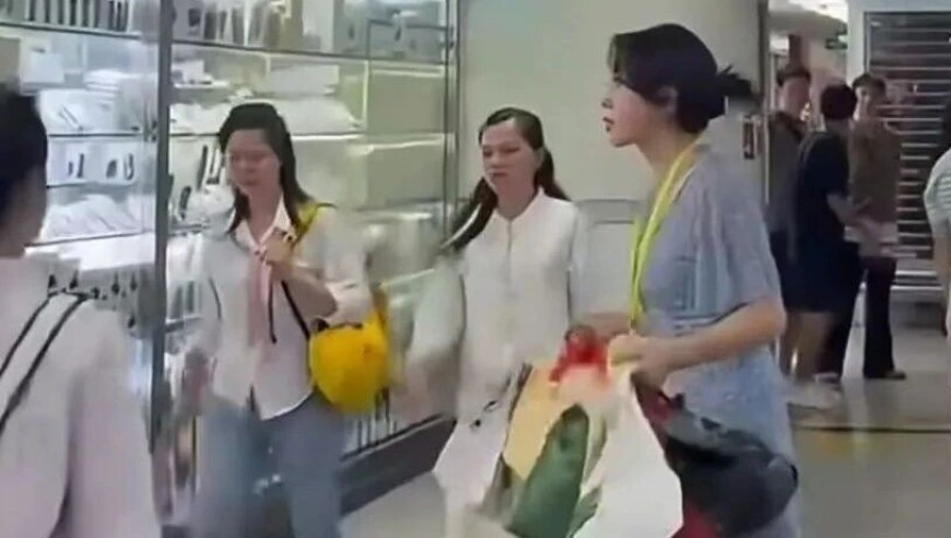 张婧仪认同地母系小花称号,澳门天天彩资料正版免费最新版,最新热门解答落实_移动版V1.91